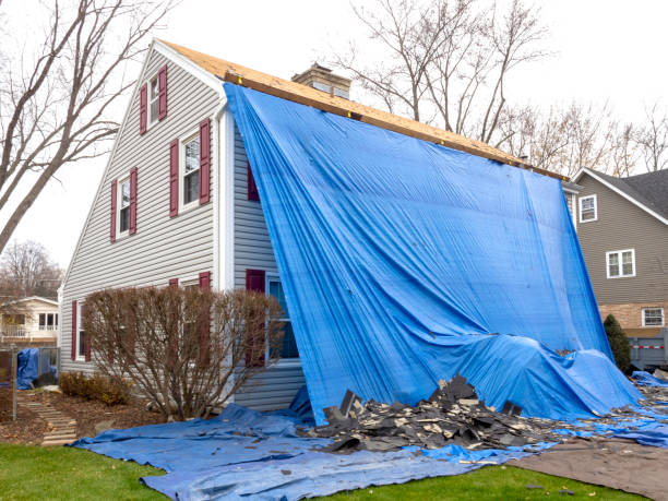 Best Shed Removal  in Dallas, TX